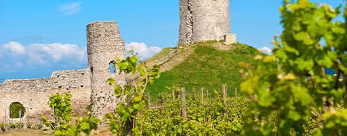 paysage terroir et vieux château Crozes-Hermitage