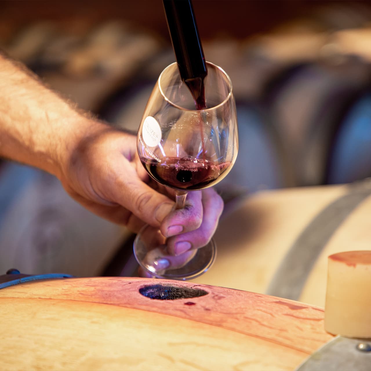 ambiance verre de vin crozes-hermitage dans cave